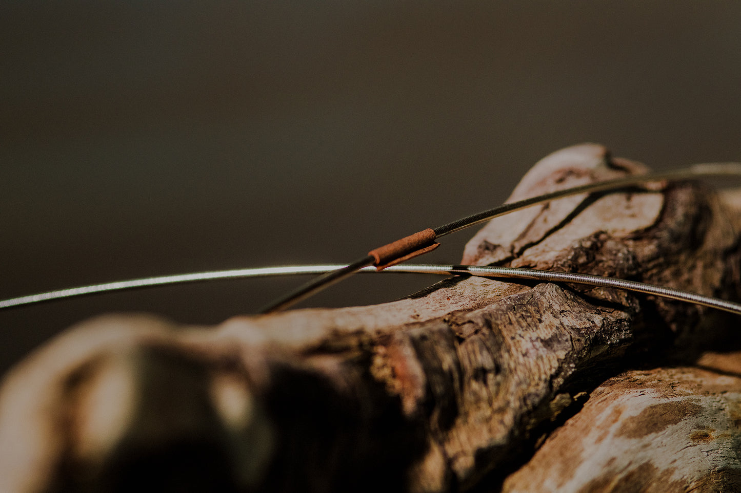 Tempera Double Bass Strings